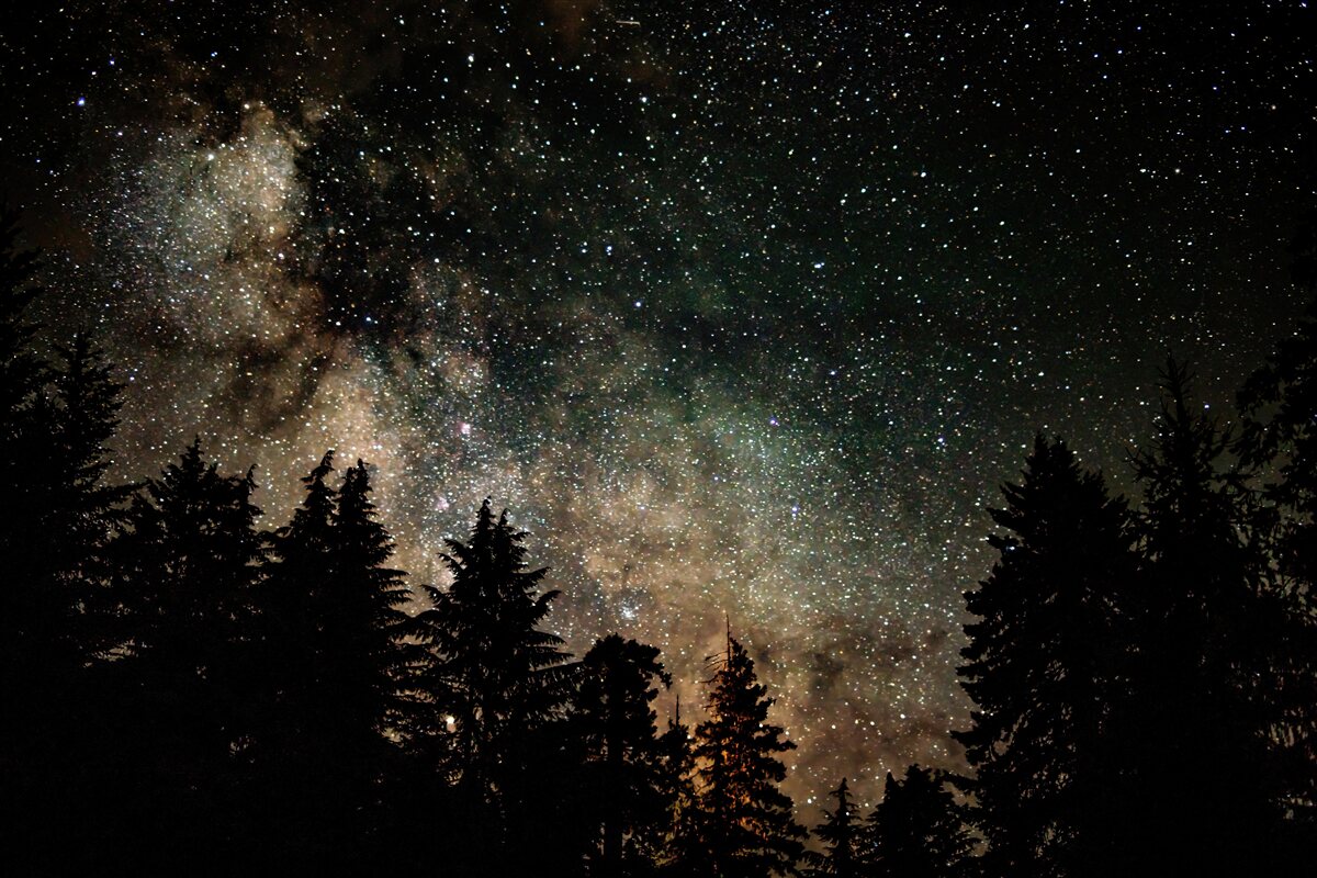 Fototapeten Wald in der Nacht und ein Sternenhimmel