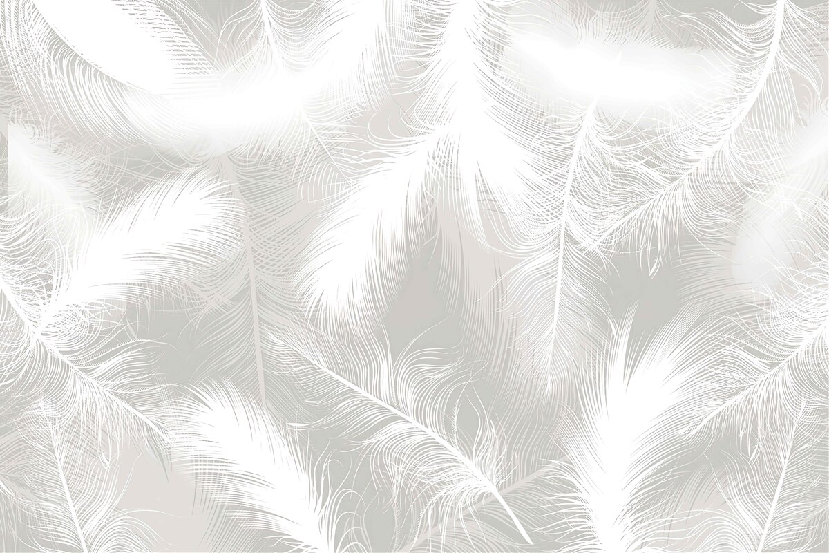 Fototapeten Schnee -White -Federn im Hintergrund