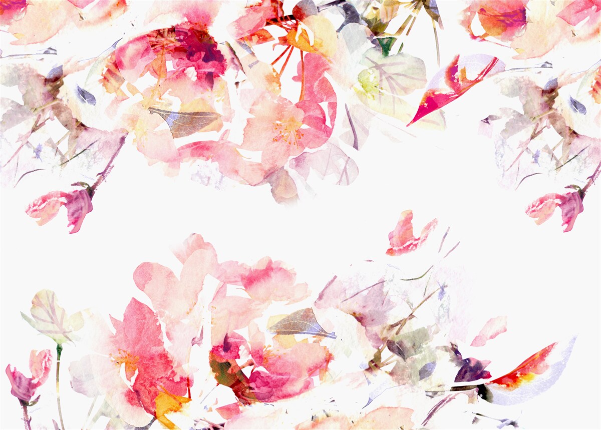 Fototapeten Bild von rosa Blumen
