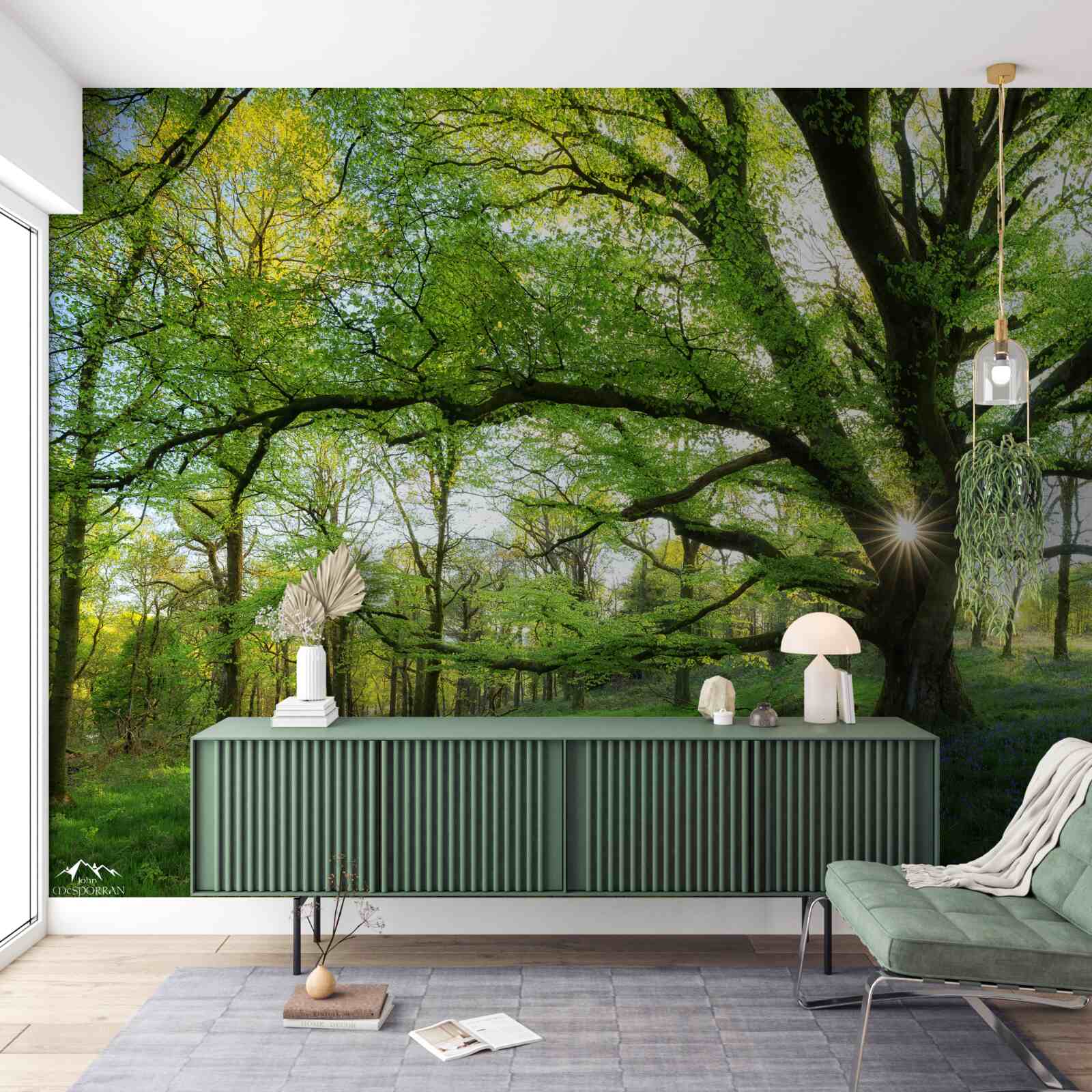 Fototapeten Schöner grüner Wald