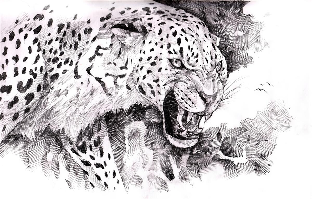 Fototapeten Aggressiver Leopard in Schwarz -Weiß -Farben