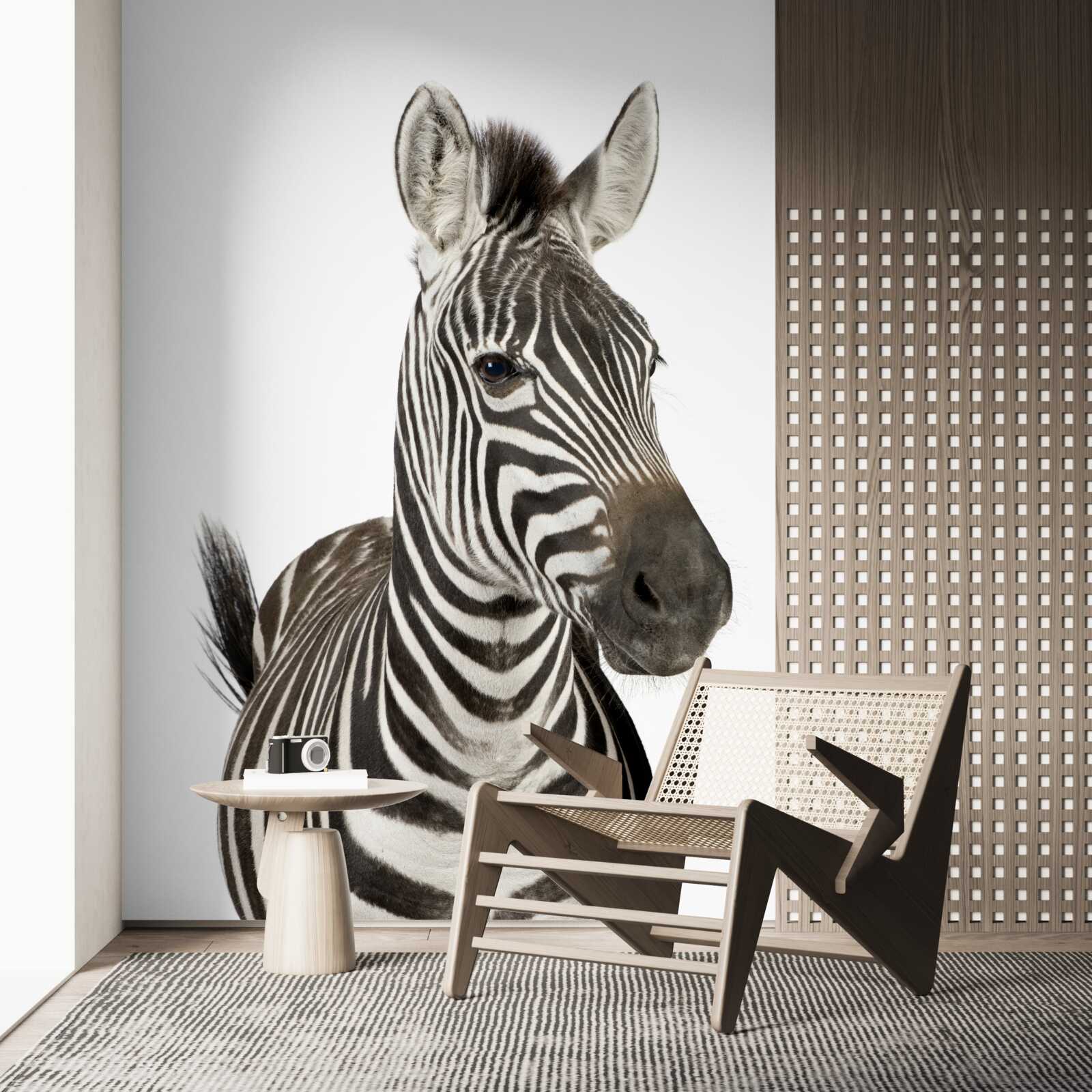 Fototapeten Zebra -Bild