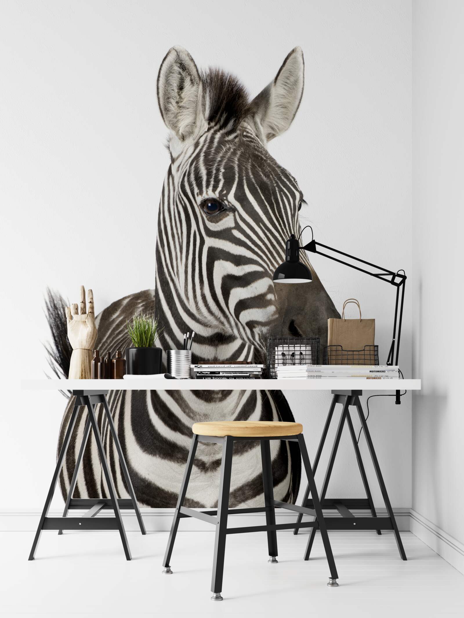 Fototapeten Zebra -Bild