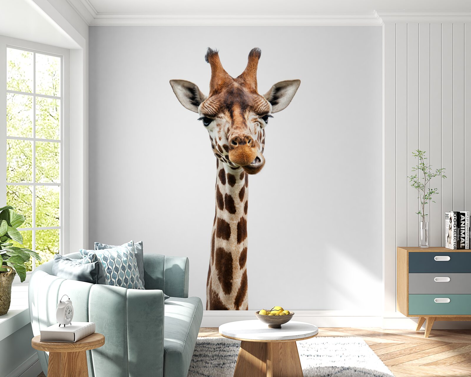 Fototapeten Ein ungewöhnlicher Ausdruck im Gesicht der Giraffe