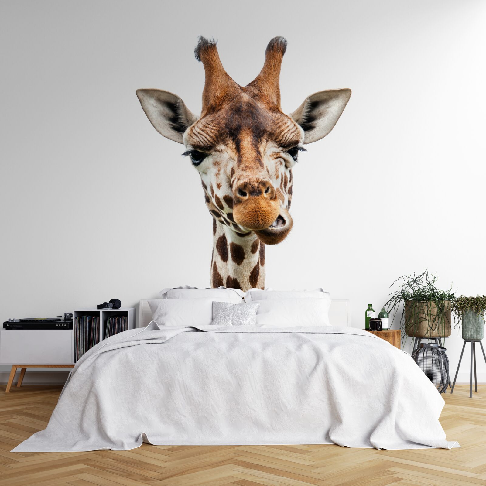 Fototapeten Ein ungewöhnlicher Ausdruck im Gesicht der Giraffe