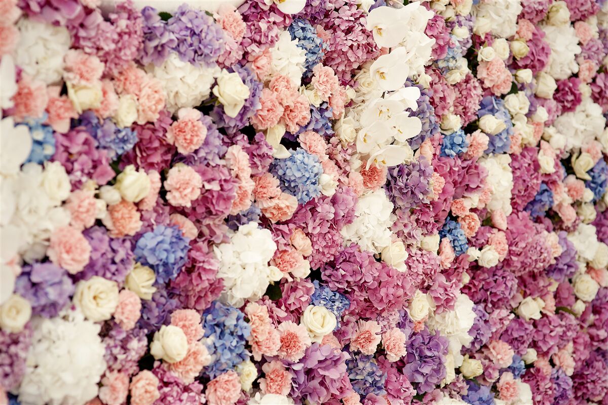 Fototapeten Hintergrund von mehrfach gefärbten Blumen