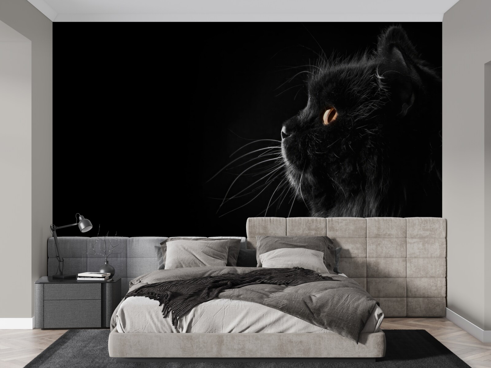 Fototapeten schwarze Katze auf einem dunklen Hintergrund