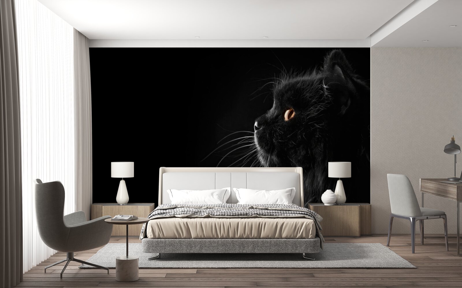 Fototapeten schwarze Katze auf einem dunklen Hintergrund