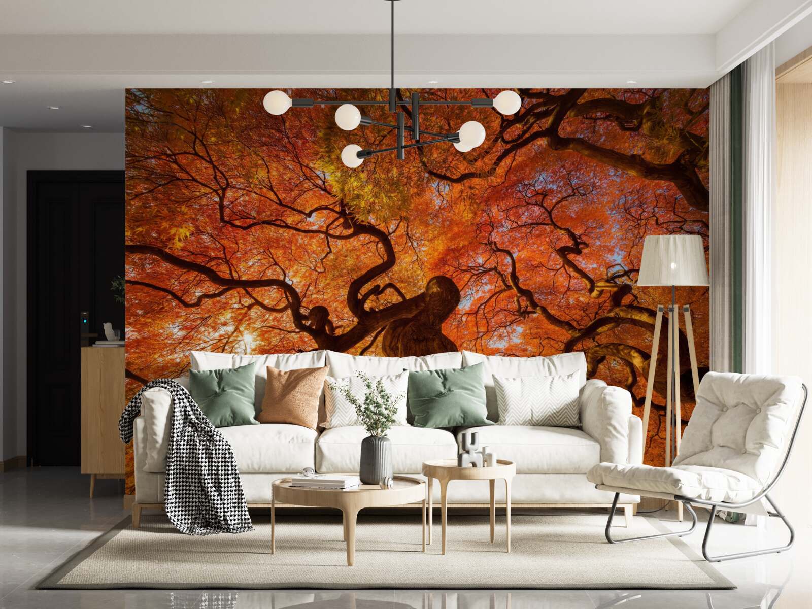 Fototapeten Ansicht von unten zum Baum im Herbst