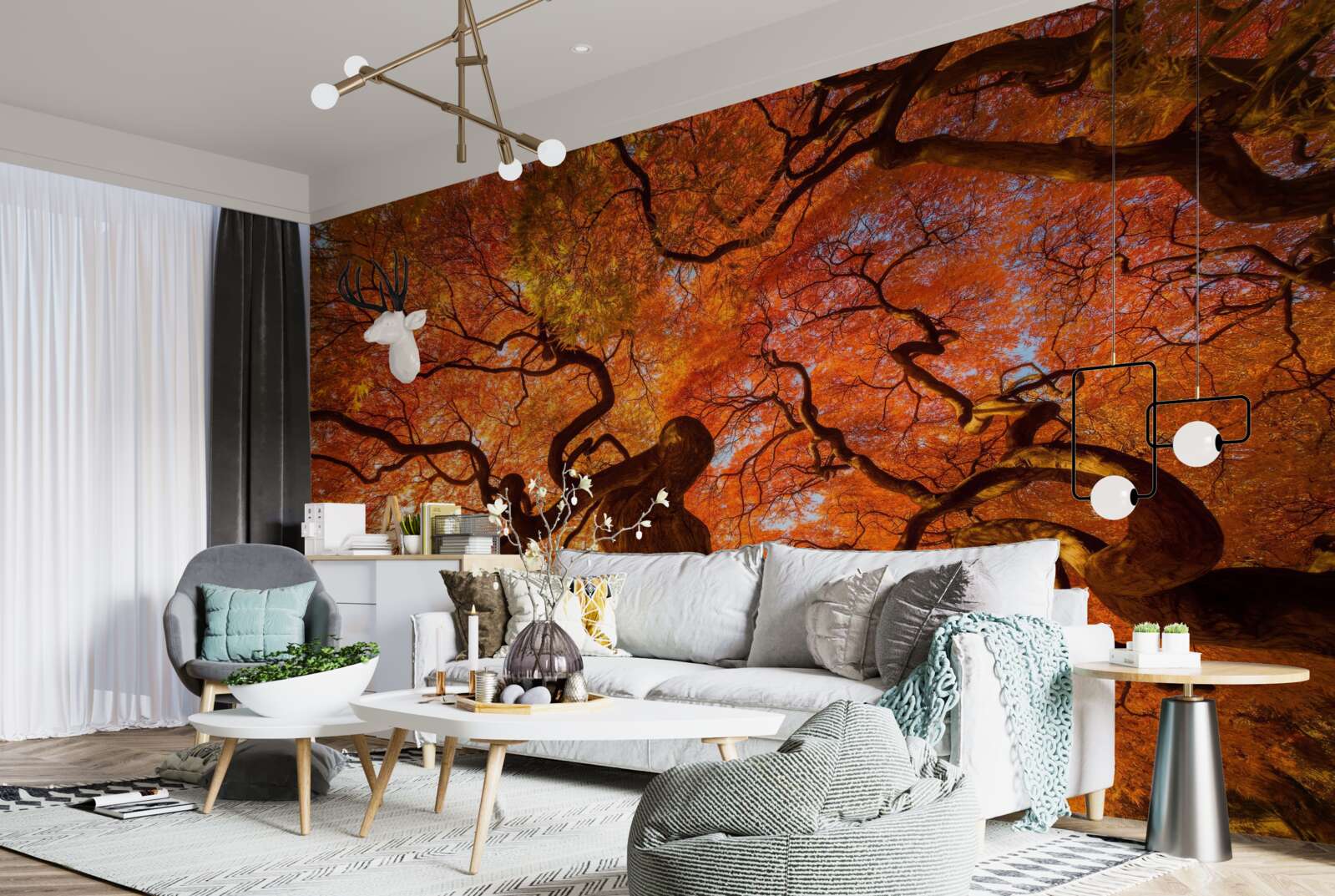 Fototapeten Ansicht von unten zum Baum im Herbst