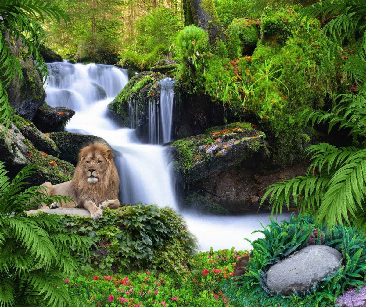 Fototapeten Es gibt einen Löwen am Wasserfall