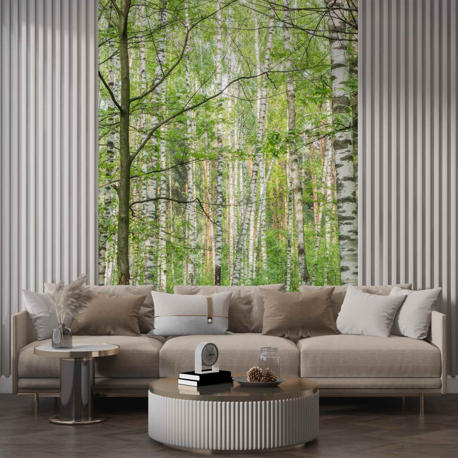 Fototapeten Der Wald bedeckt mit Birken dicht bedeckt
