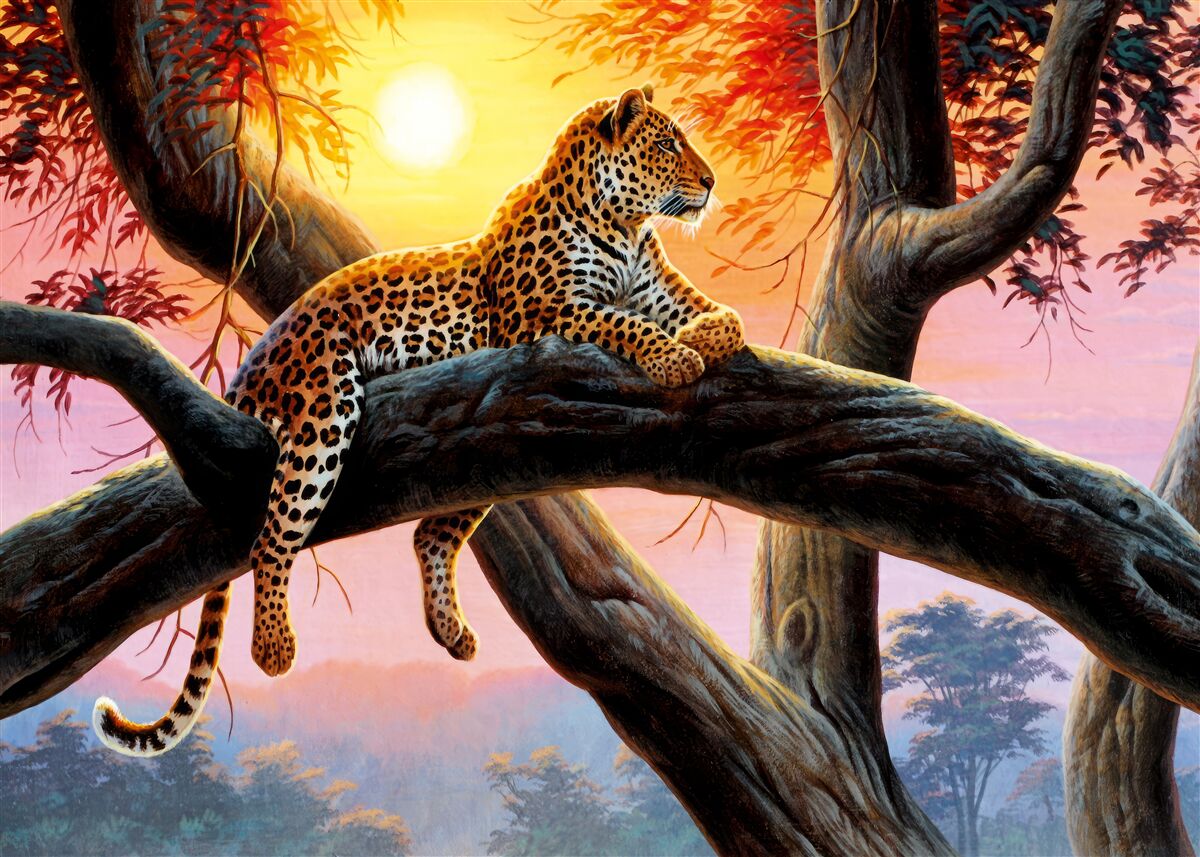 Fototapeten Cheetah sitzt auf einem Baum