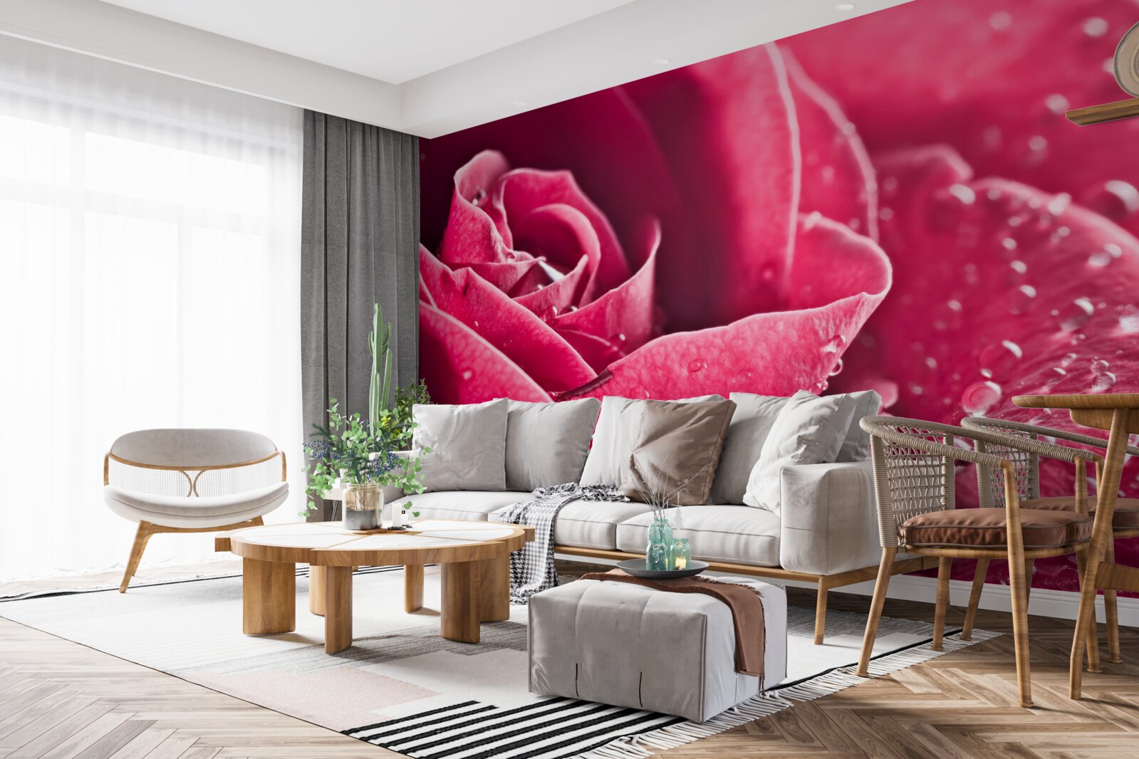 Fototapeten Eine große Rose mit Feuchtigkeitstropfen