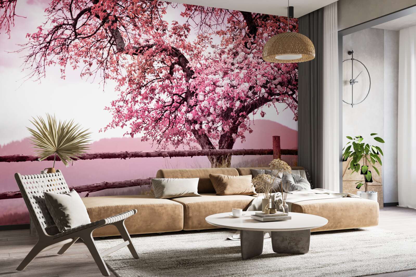 Fototapeten Ein blühender Sakura -Baum