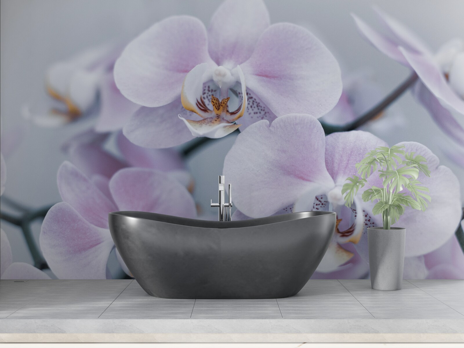 Fototapeten Große Orchideenblüten