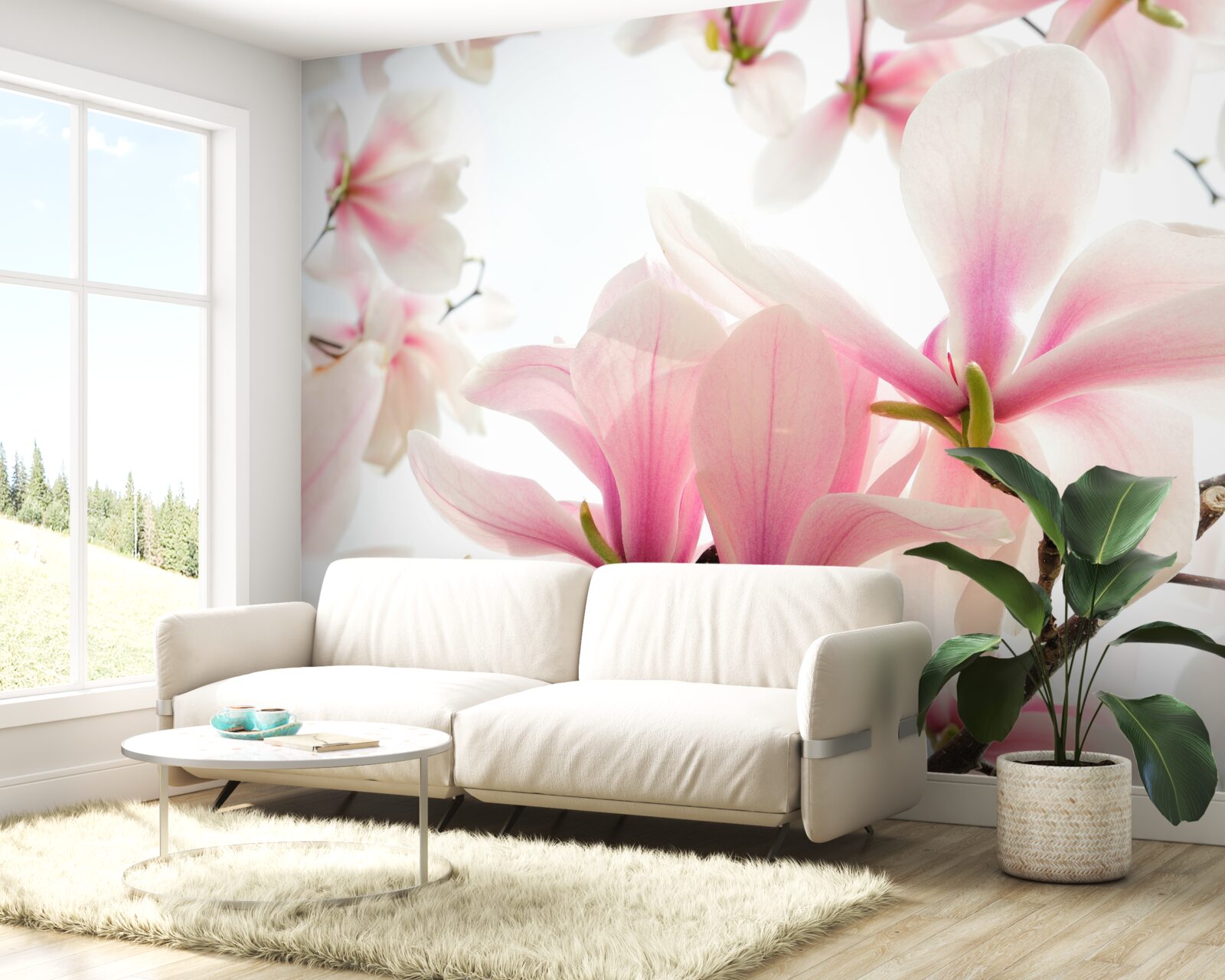Fototapeten Blühende Magnolien