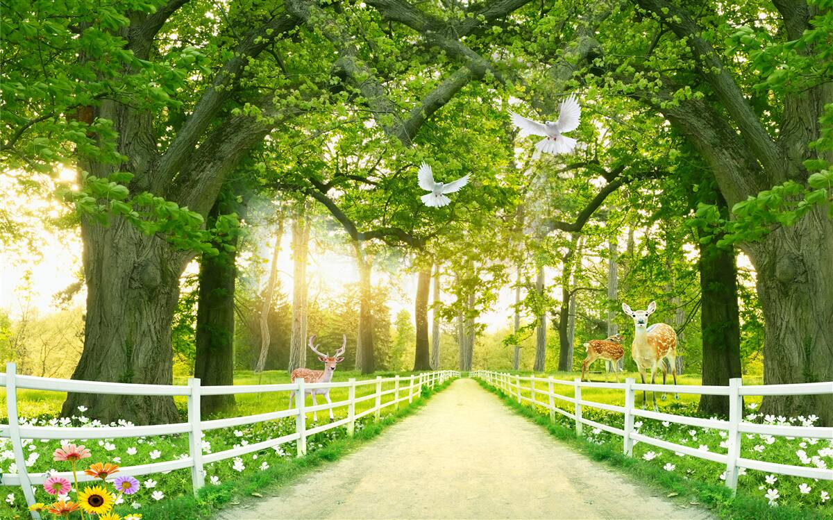 Fototapeten Weg für romantische Spaziergänge