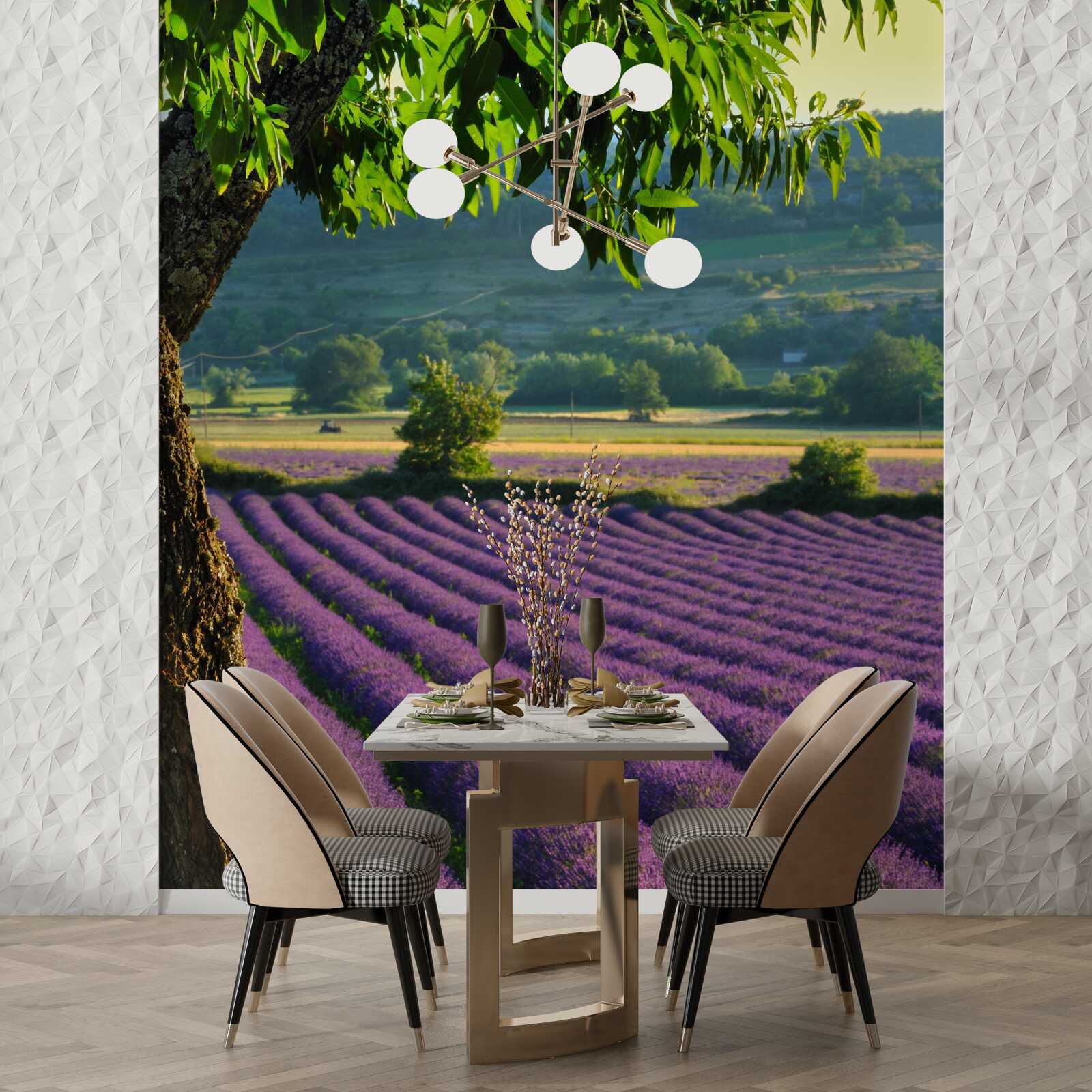Fototapeten Feldduftung mit Lavendel