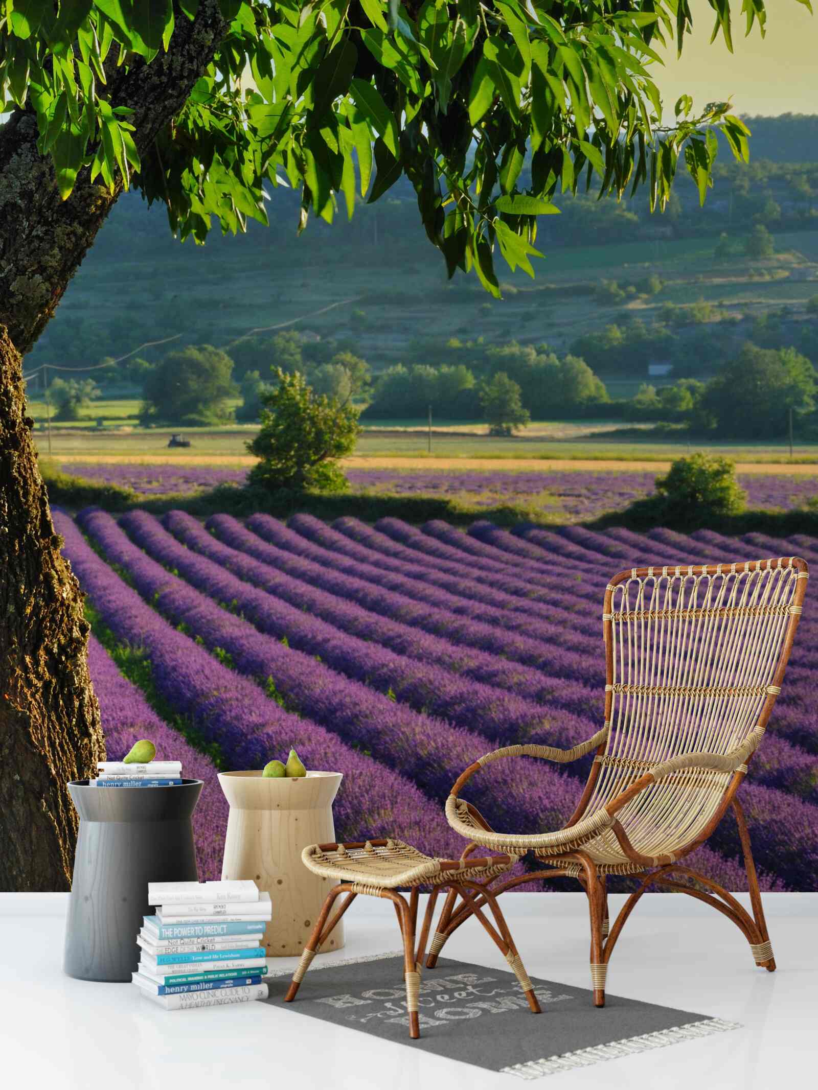 Fototapeten Feldduftung mit Lavendel