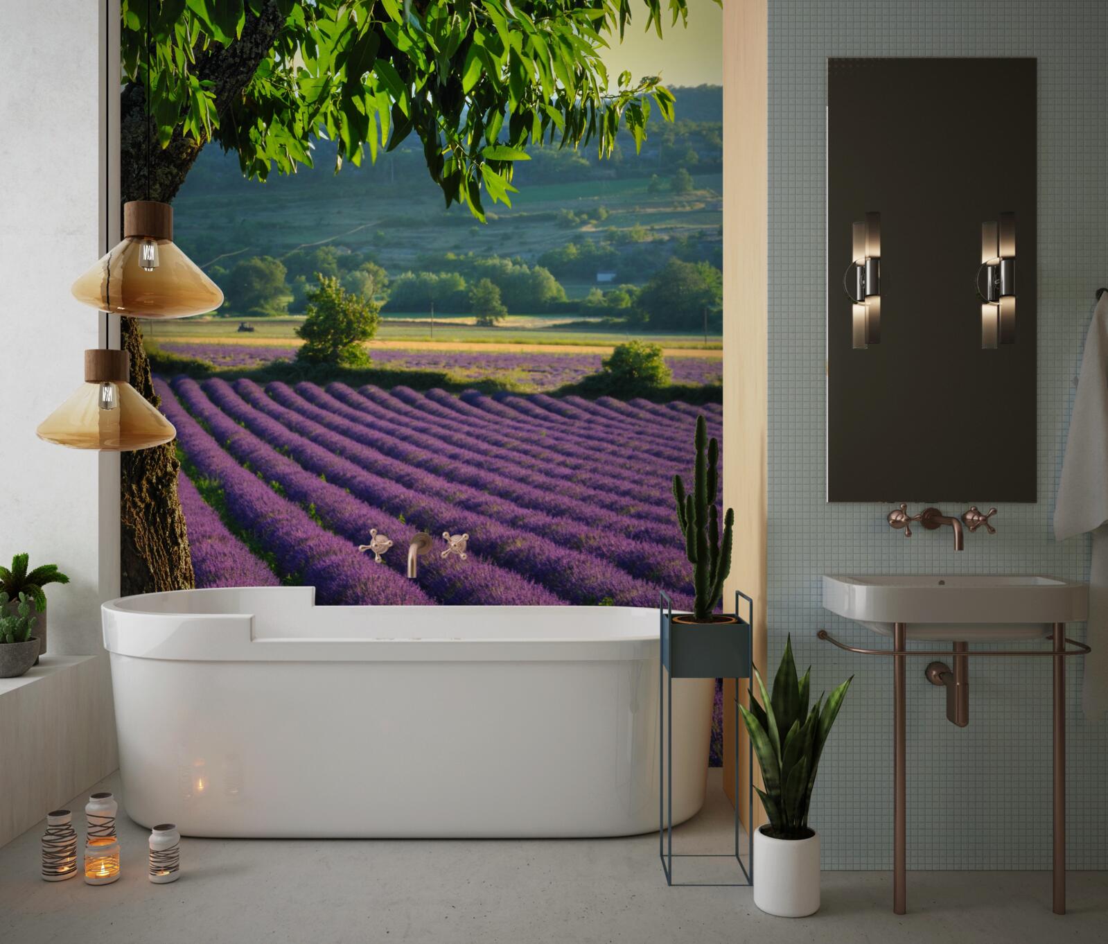 Fototapeten Feldduftung mit Lavendel