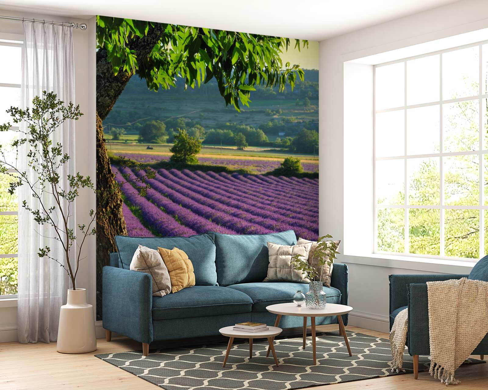 Fototapeten Feldduftung mit Lavendel