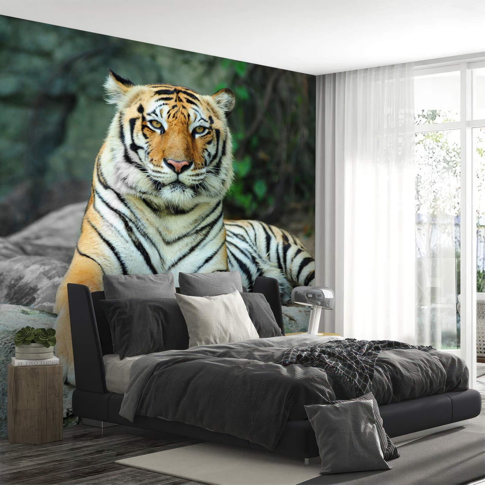 Fototapeten Ein wunderschöner Tiger im Urlaub