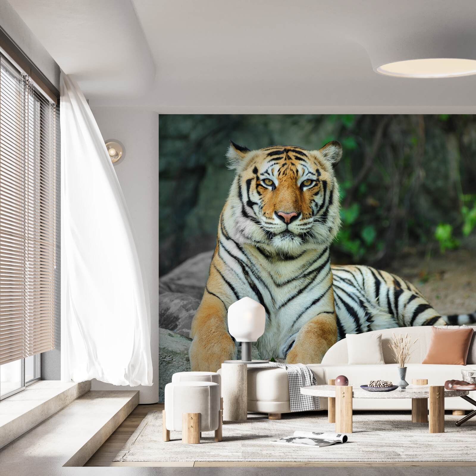 Fototapeten Ein wunderschöner Tiger im Urlaub