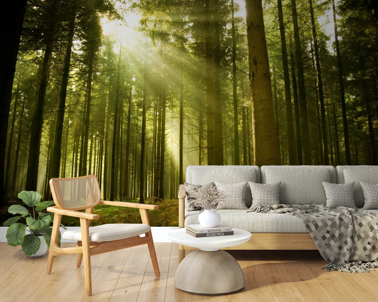 Fototapeten Die Sonnenstrahlen beleuchten den Wald