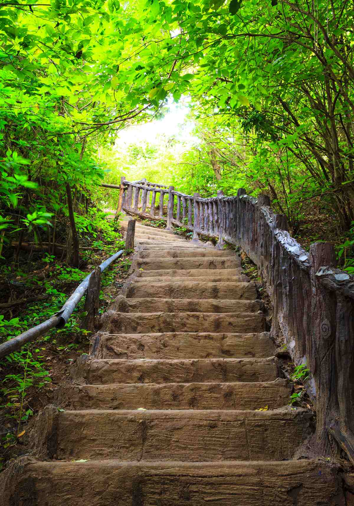 Fototapeten grüne Treppe