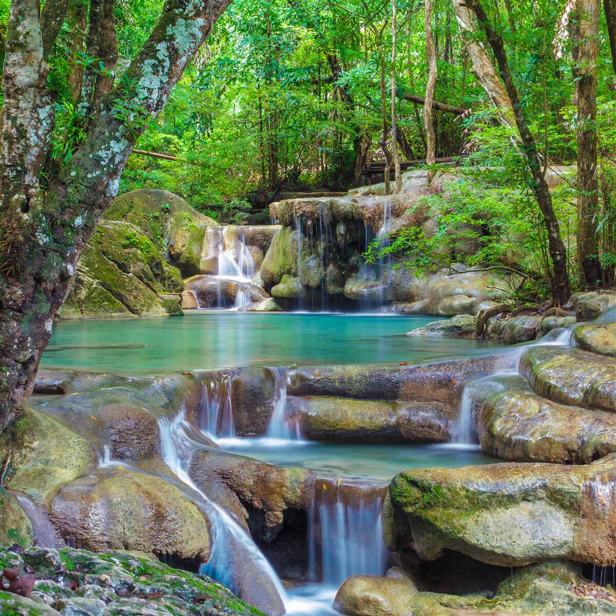 Fototapeten kleiner Waldwasserfall