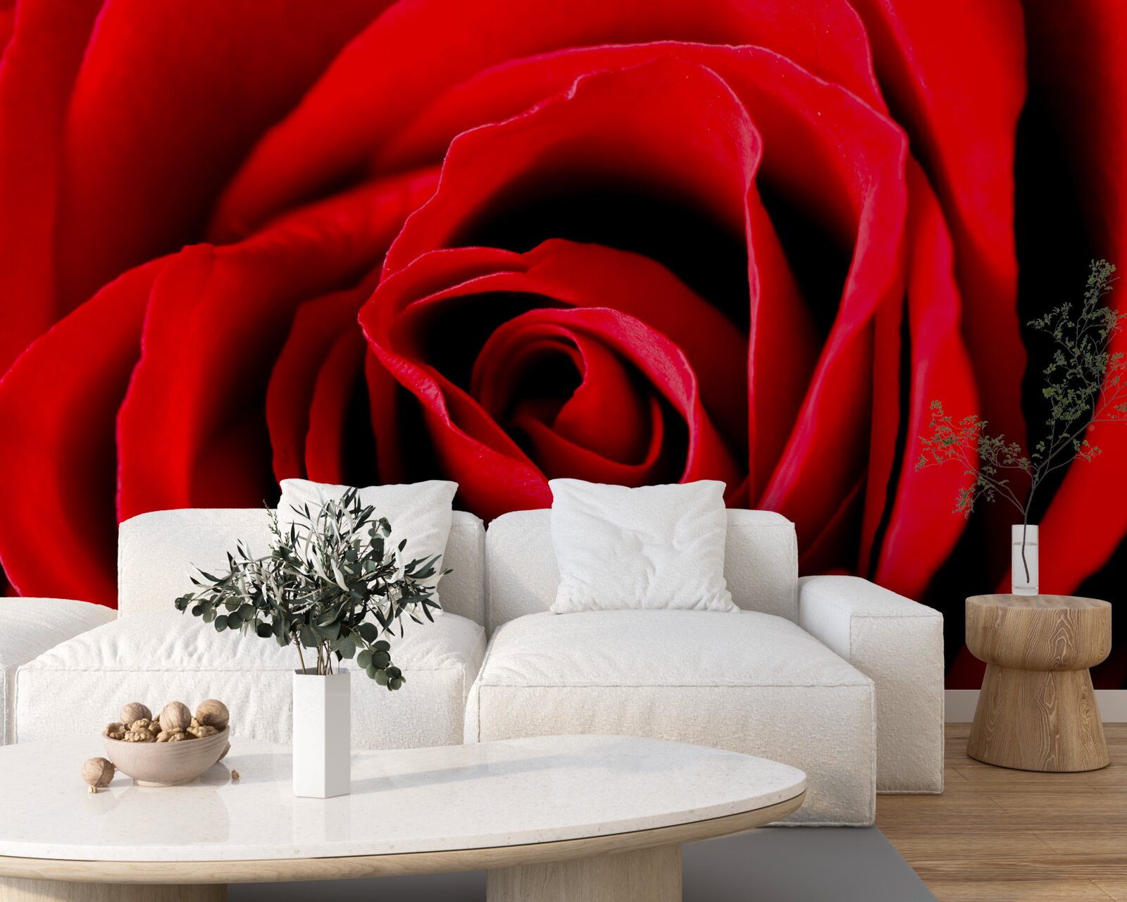 Fototapeten näheres Foto der roten Rose