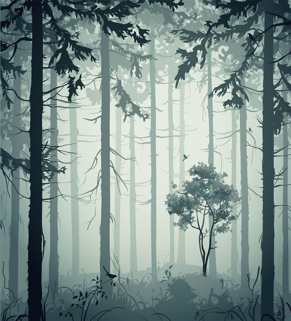 Fototapeten Ein Wald mit einem mysteriösen Nebel bedeckt