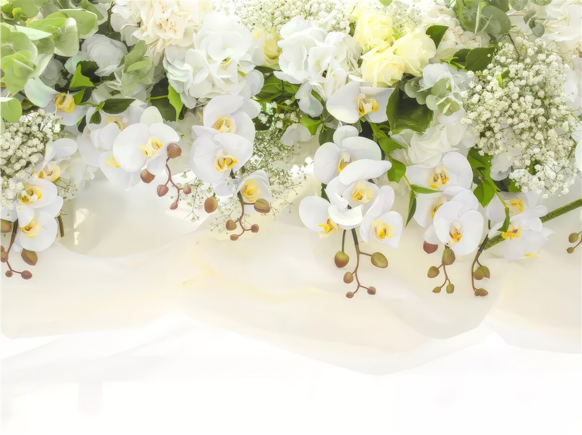 Fototapeten Weiße Orchideen hängen