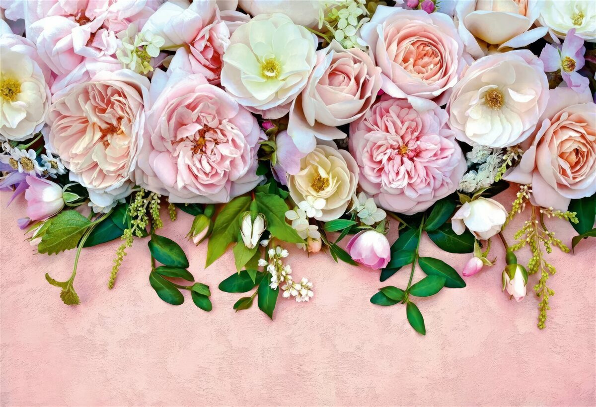 Fototapeten leichte und zarte Rosen