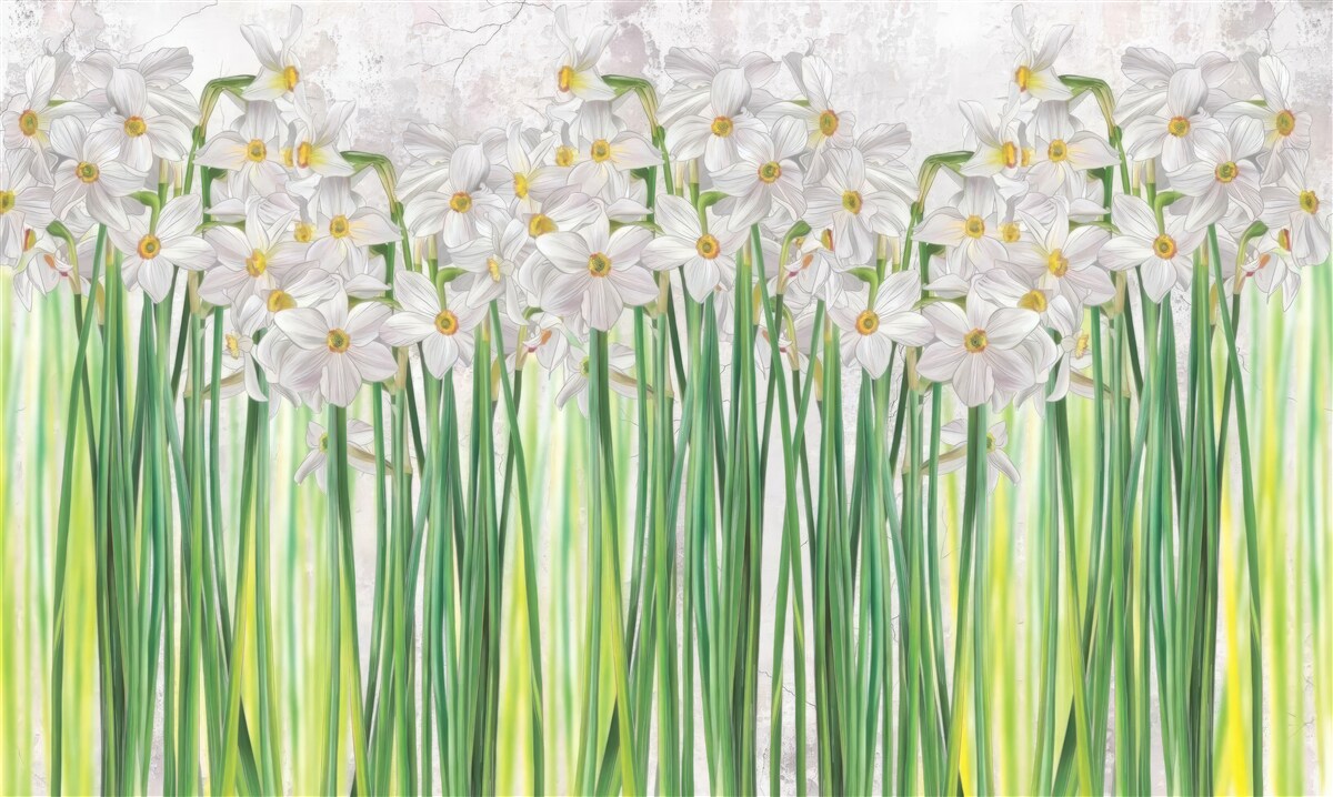 Fototapeten Narzissenblüten sind weiß