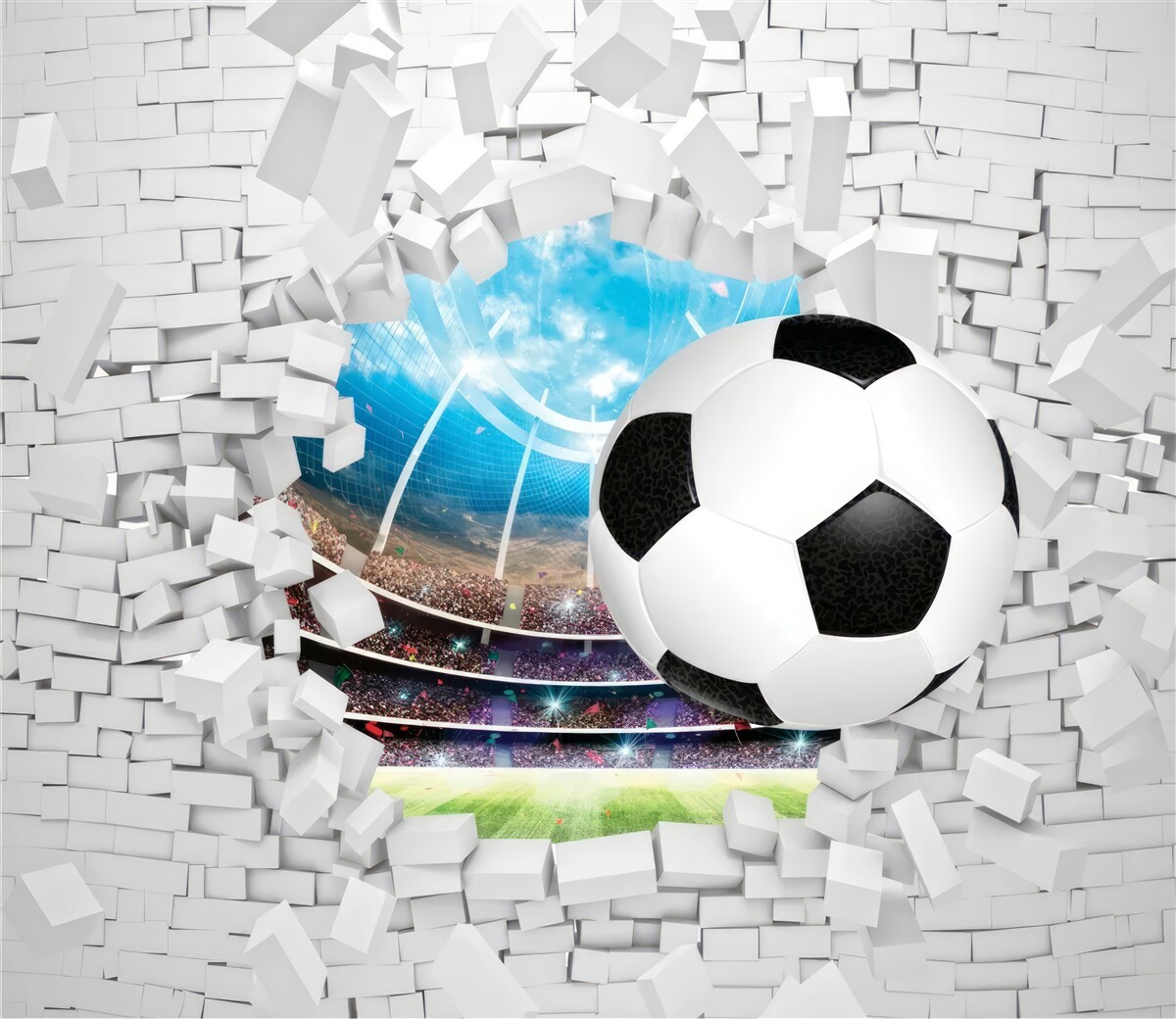 Fototapeten Fußballfeld und Ball