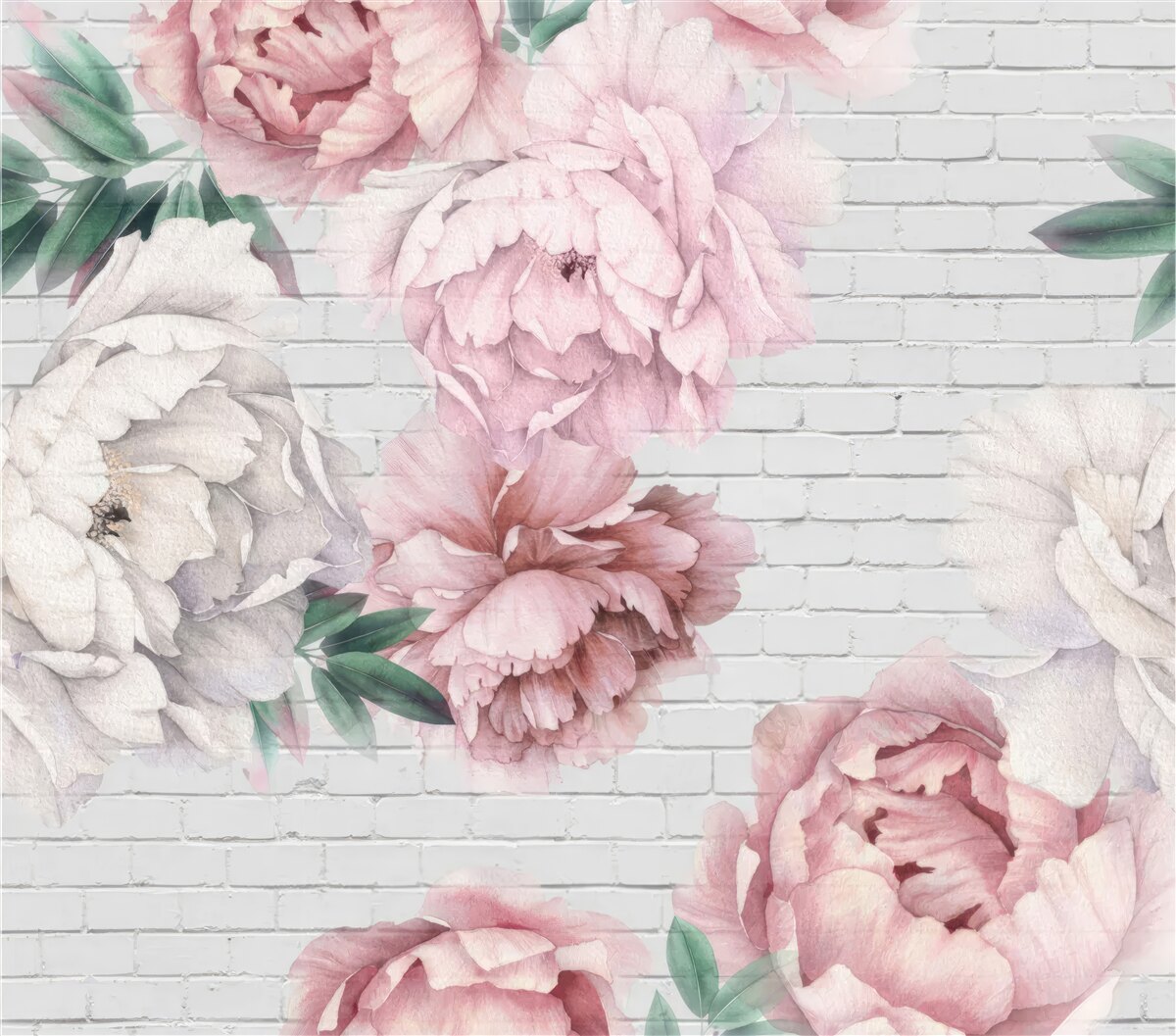 Fototapeten Pfingstrosen in rosa und weißen Blumen