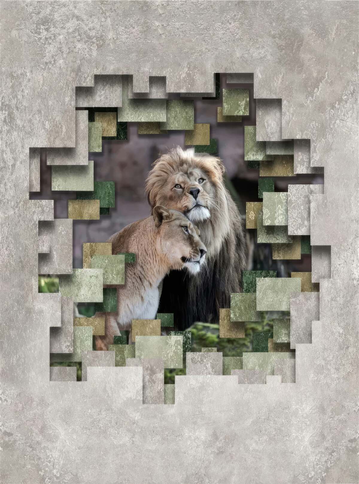 Fototapeten Der Löwe und die Löwin schlossen sich zusammen