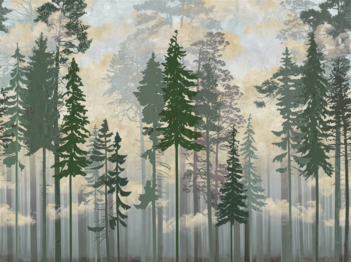 Fototapeten Ein nebliger Wald mit Bäumen bedeckt