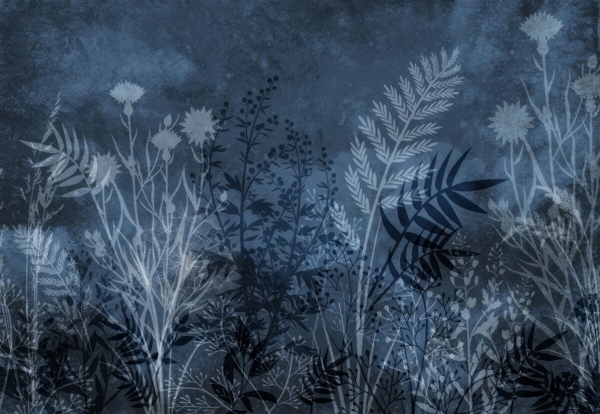 Fototapeten Der Nachtmond beleuchtet die Wiese und Pflanzen