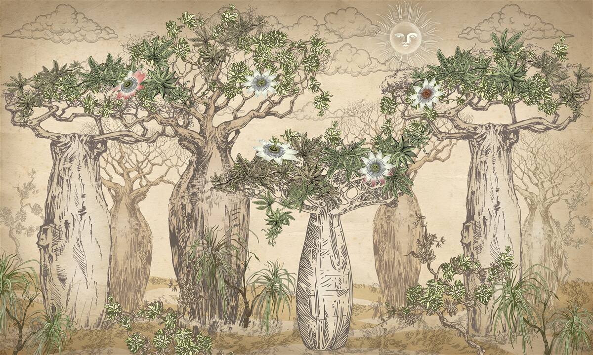 Fototapeten Mächtige und majestätische Baobabs