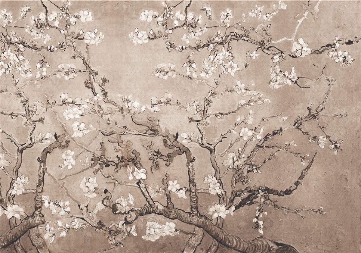 Fototapeten Eine blühende japanische Kirsche