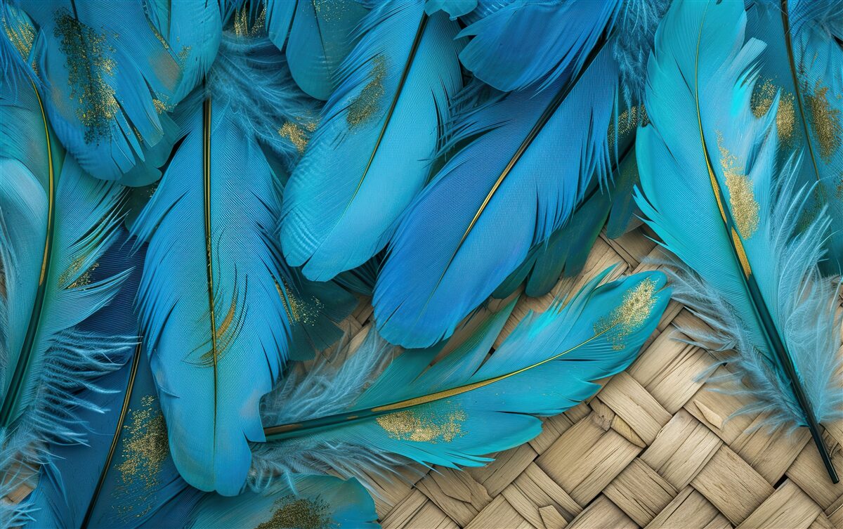 Fototapeten Schöne flauschige Federn mit einer satten blauen Farbe