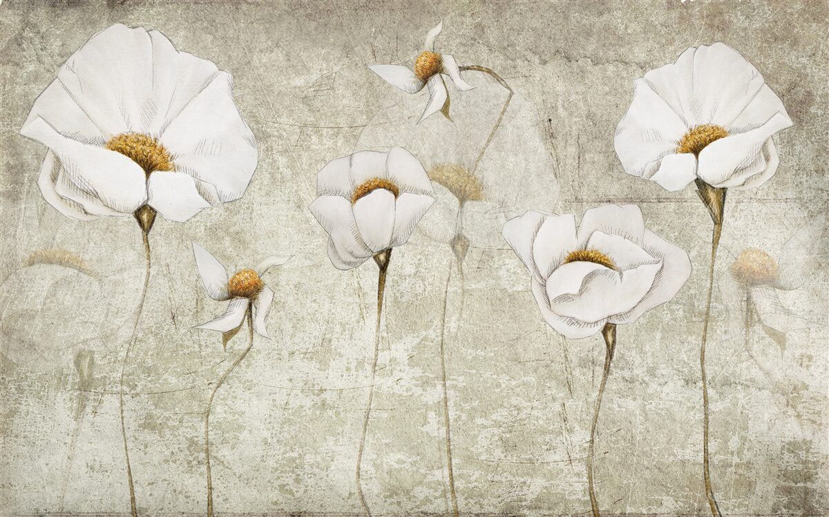 Fototapeten Schlanke weiße Mohnblumen