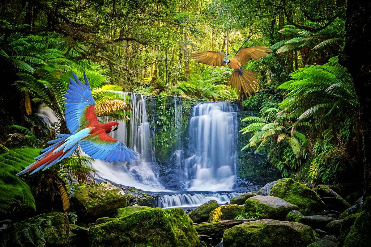 Fototapeten Versteckter Wasserfall im Wald