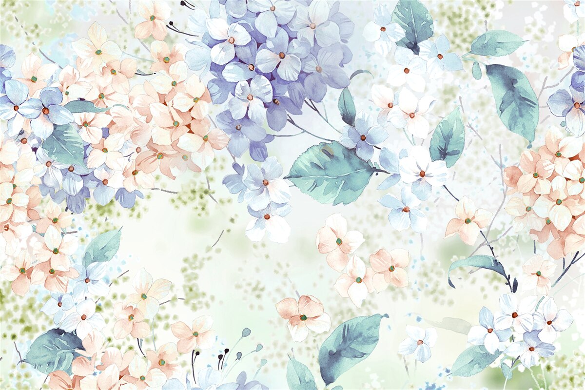 Fototapeten Hydressblumen blühen im Frühling deutlich