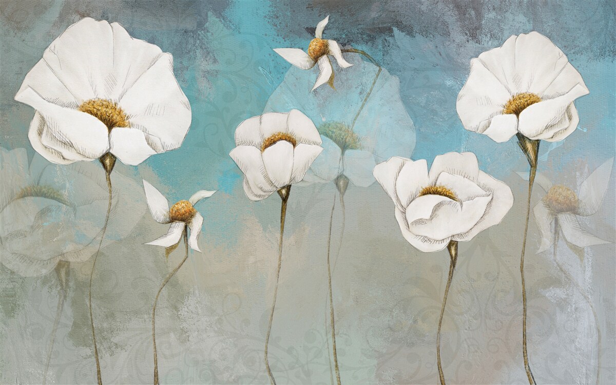 Fototapeten zarte weiße Mohnblumen