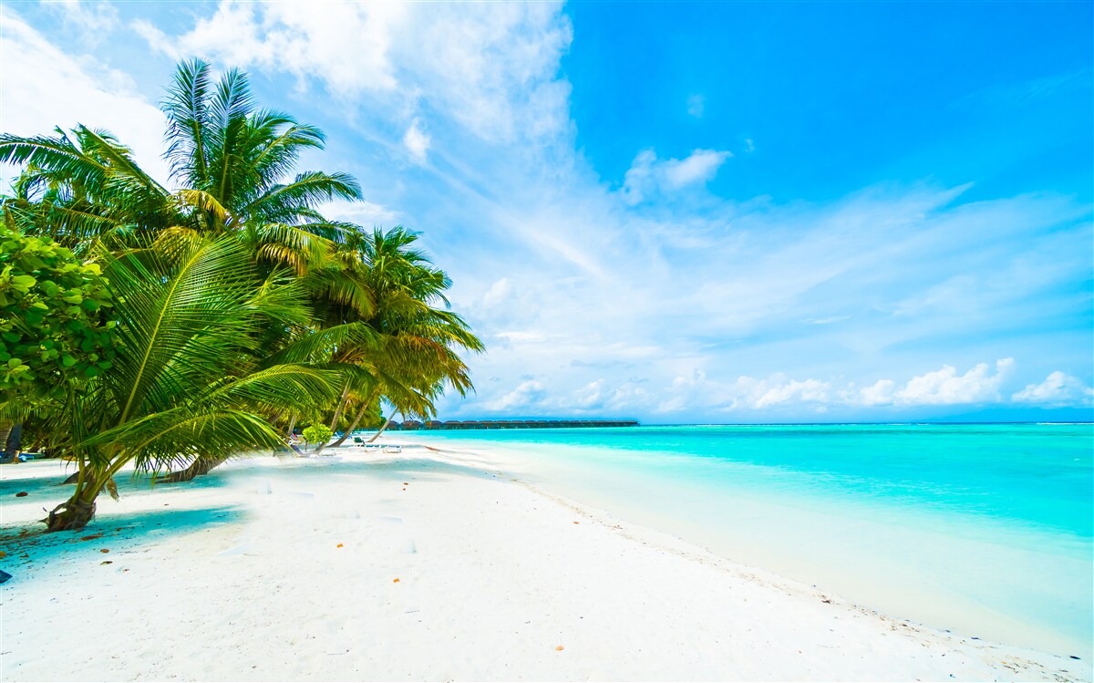 Fototapeten Azure Tropical Beach