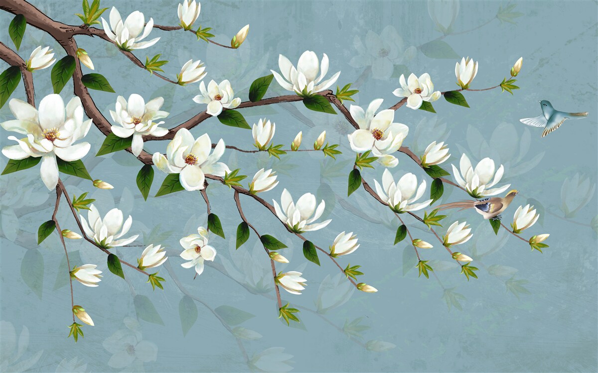 Fototapeten Ein blühender Kirschbaum mit weißen Blumen
